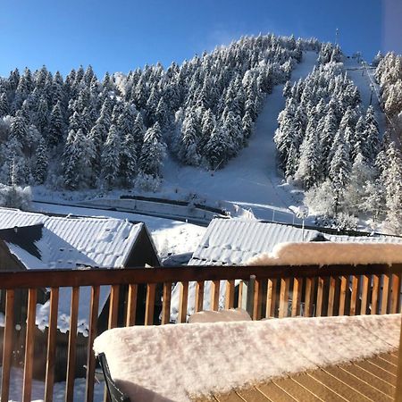 Appartement Aux Pieds Des Pistes De Ski Laveissière Buitenkant foto