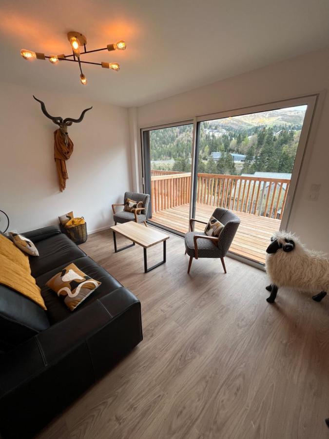 Appartement Aux Pieds Des Pistes De Ski Laveissière Buitenkant foto