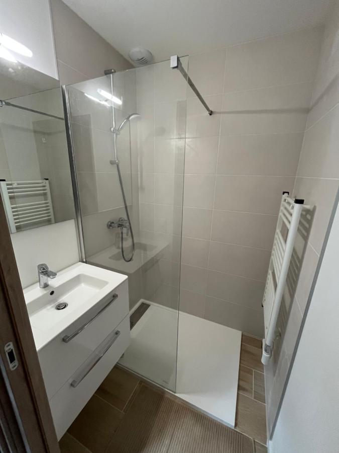 Appartement Aux Pieds Des Pistes De Ski Laveissière Buitenkant foto