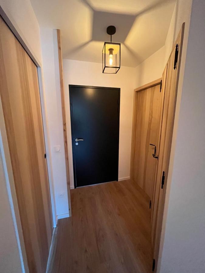 Appartement Aux Pieds Des Pistes De Ski Laveissière Buitenkant foto