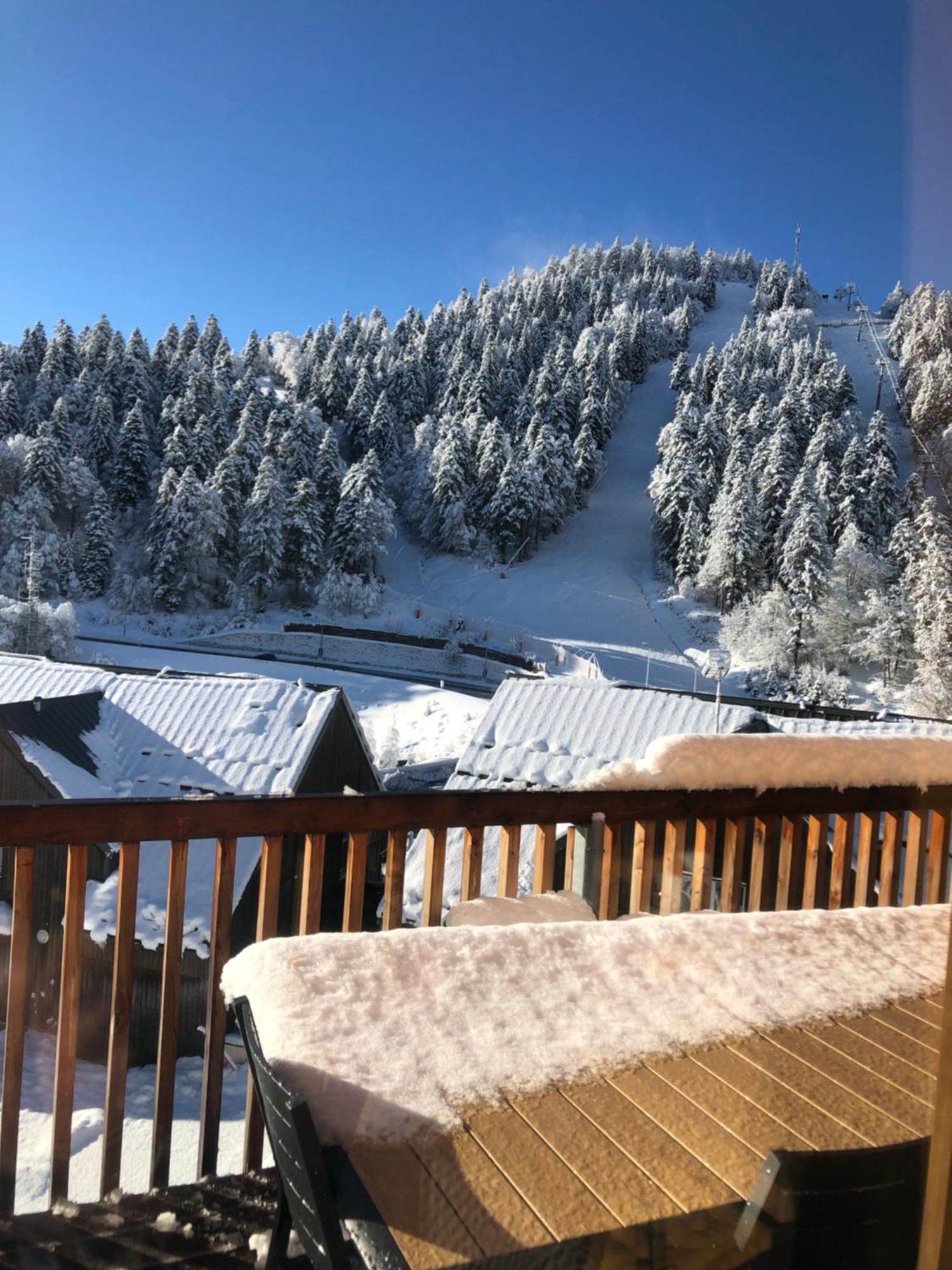 Appartement Aux Pieds Des Pistes De Ski Laveissière Buitenkant foto