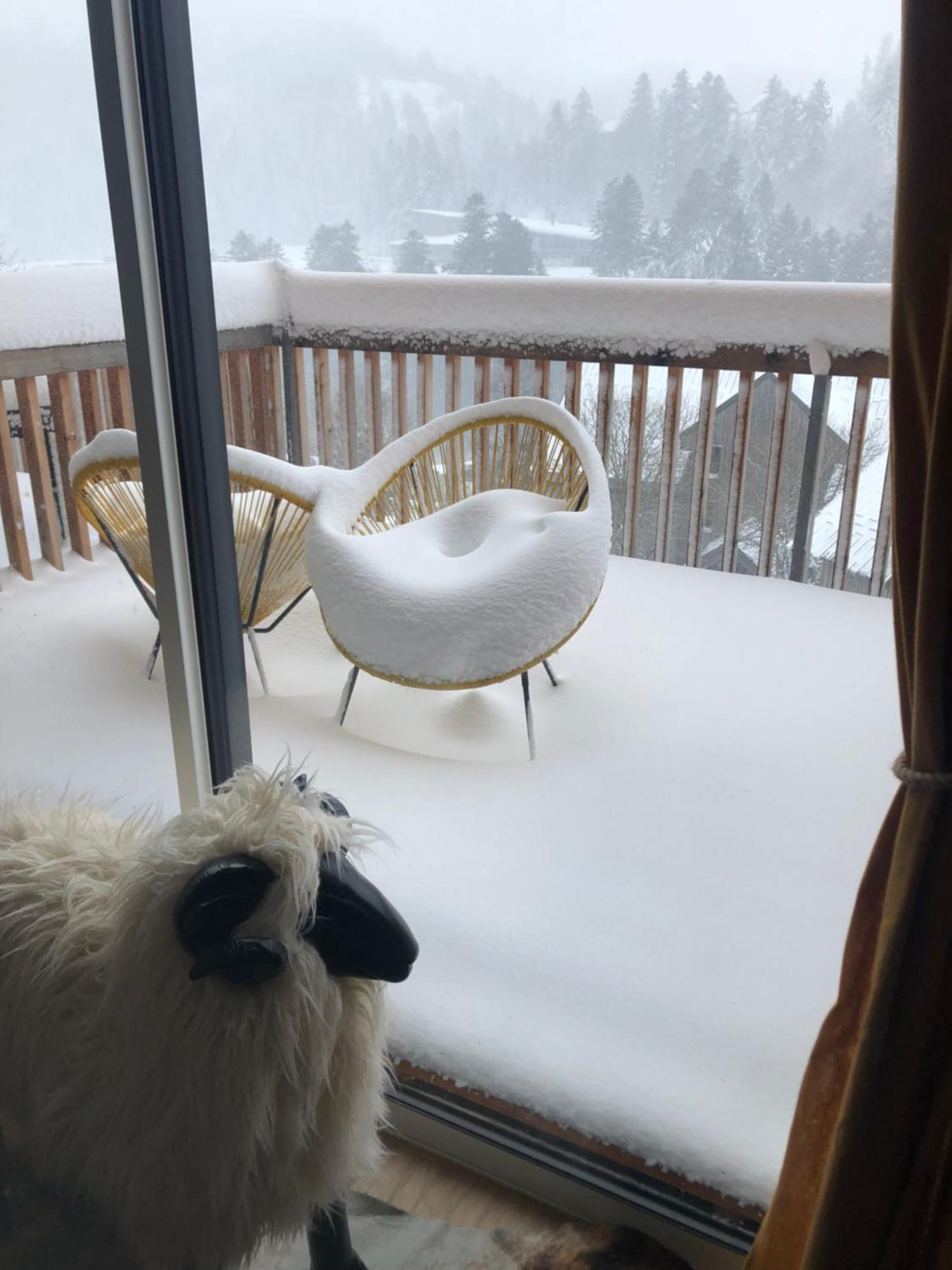 Appartement Aux Pieds Des Pistes De Ski Laveissière Buitenkant foto